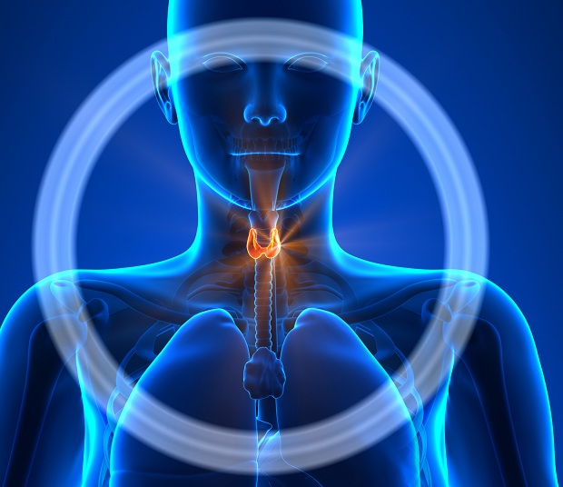 19 признака , че щитовидната жлеза не работи правилно.