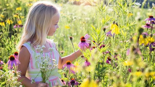 Тестове за алергии при децата - какво трябва да знаем