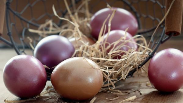 Как да разберем дали яйцата са пресни