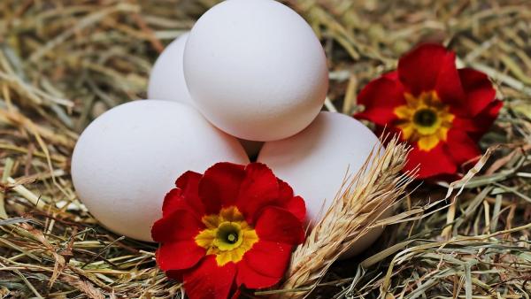 Как да съхраним яйцата от купуването в магазина до трапезата
