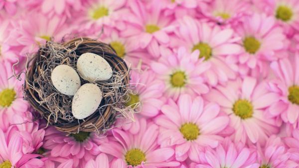 Колко дълго можем да съхраняваме боядисаните яйца след Великден