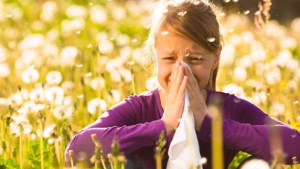 Алергии през пролетта. Какви са основните причини и какво се случва с нас?