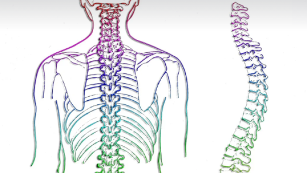 Кифопластика при фрактура на прешлените на гръбначния стълб - какво трябва да знаем