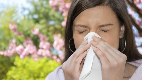 4 мита за алергиите!