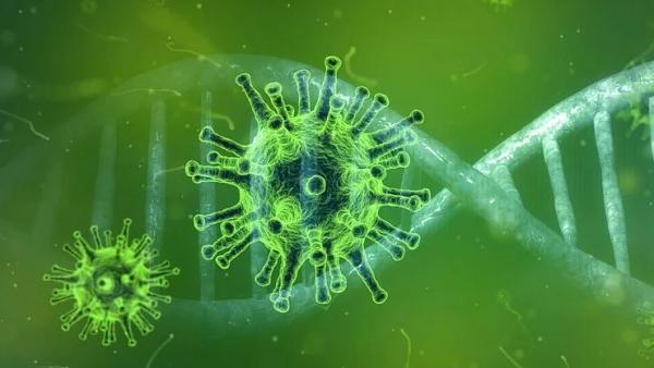 Каква е разликата между вирусна и бактериална инфекция