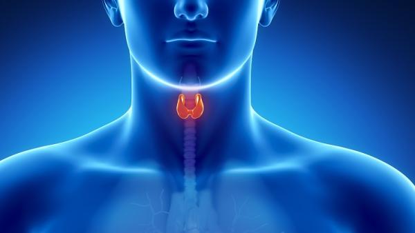 10 сигнала, че имате проблем с щитовидната жлеза и 10 начина за подобряването им