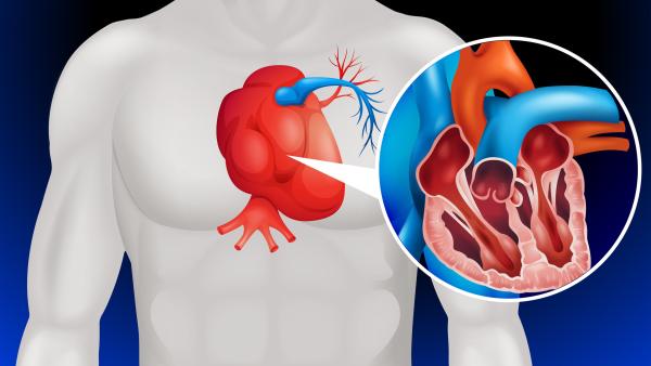 6 симптома, при които трябва да потърсим помощ от кардиолог!