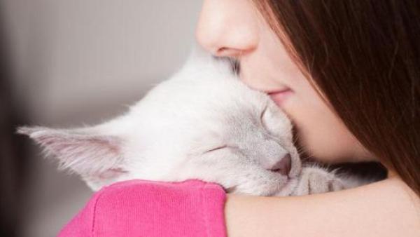 Имате котка и трудно сдържате нервите си? Тествайте се за токсоплазмоза!