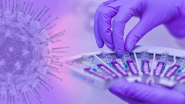 Имунологът на Университета Джон Хопкинс: Антитела на излекувани от COVID-19 могат да се използват за лечение и да се предпазят хората в риск 