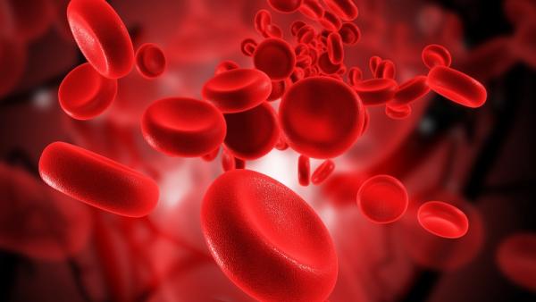 7 любопитни факта, които не знаете за кръвта си