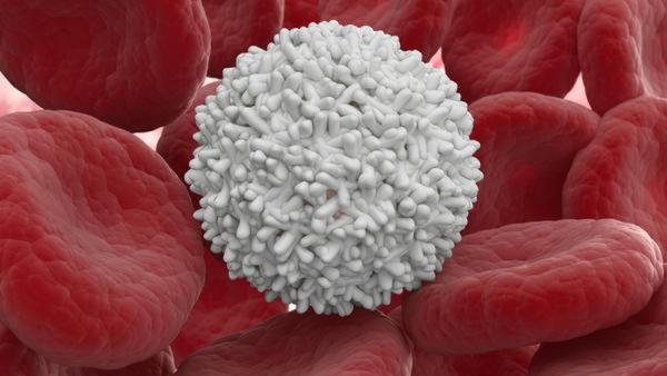 Повишени левкоцити? Какво представлява изследването на бели кръвни клетки и кога се провежда?