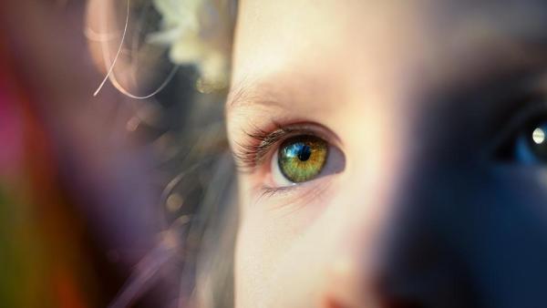 Кои са най - честите заболявания на ретината на окото