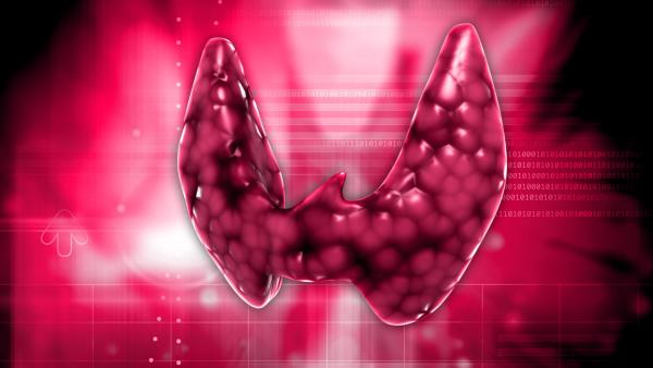 Най-често срещаните митове и факти за заболяванията на щитовидната жлеза!