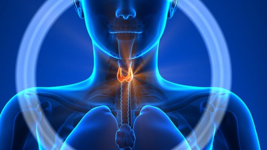 19 признака , че щитовидната жлеза не работи правилно.
