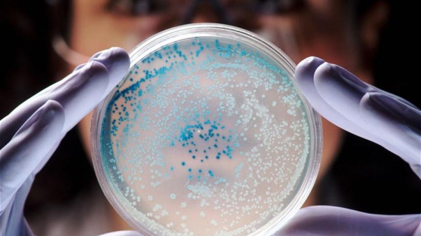 Д-р Михайлова: Увеличават се бактериите, резистентни към антибиотици