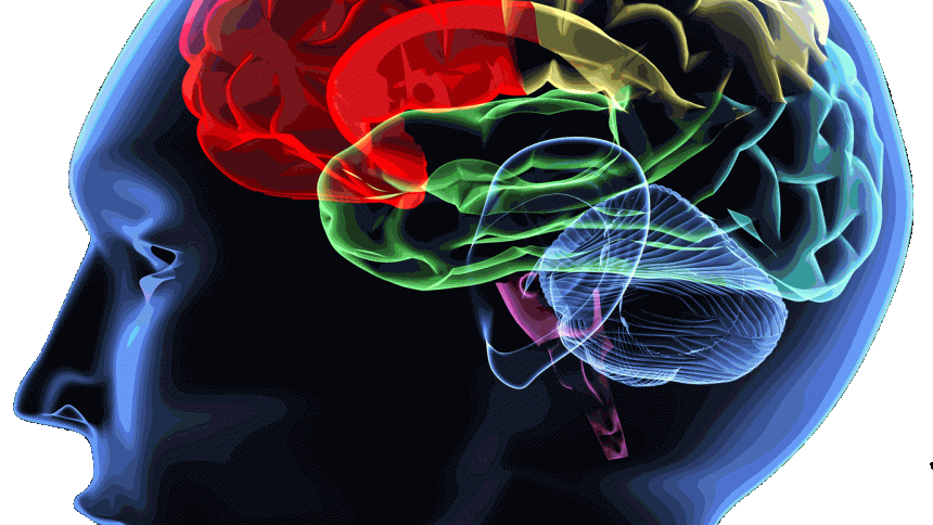 Структурата на мозъка определя на кого да се забиват песни в главата