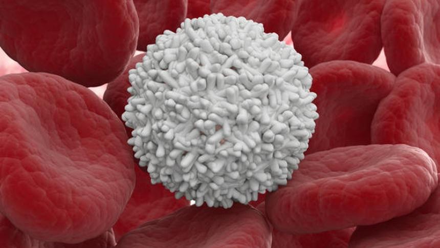 Повишени левкоцити? Какво представлява изследването на бели кръвни клетки и кога се провежда?