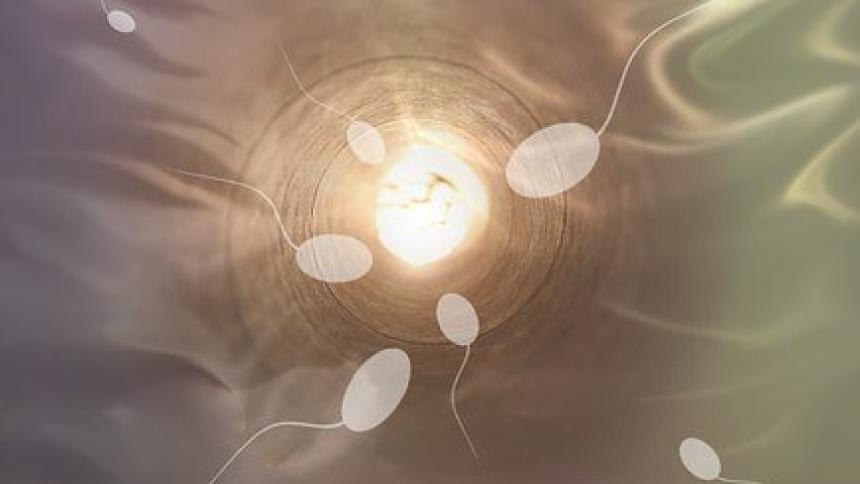 Репродуктивно здраве - пълната липса на сперматозоиди в спермата или азооспермия