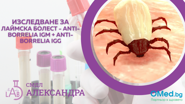 Лаймска болест - anti-Borrelia IgM + anti-Borrelia IgG за 35 лв. от СМДЛ Александра