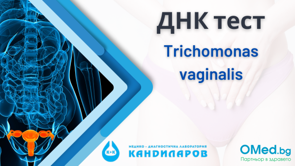 ДНК тест за Trichomonas vaginalis  Лаборатории Кандиларов!