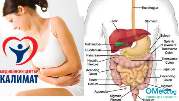 Ехографски преглед на коремни органи, 35 лв., в Медицински център "Калимат"