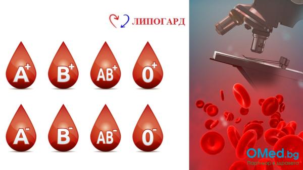 Каква е кръвната Ви група?
Изследване на кръвна група и пълна кръвна картина 16 параметъра в МДЛ Липогард! БОНУС изследване на кръвна захар!