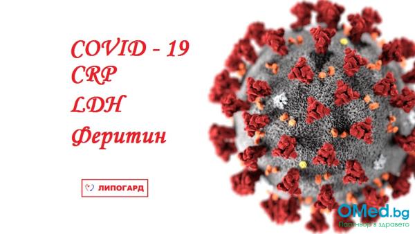Пакет изследвания за Коронавирус: бърз тест антитела за COVID-19, Феритин, ЛДХ, CRP от МДЛ "Липогард" за 39.50 лв.