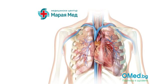 Първичен преглед при кардиолог, ЕКГ и ехография на сърце за 82 лв. от МЦ Марая Мед